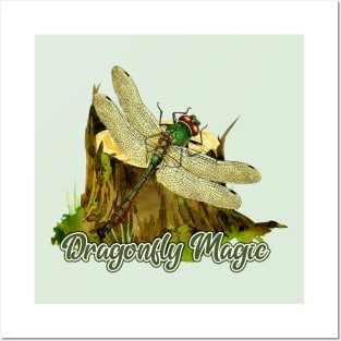 DragonFly Magic Posters and Art